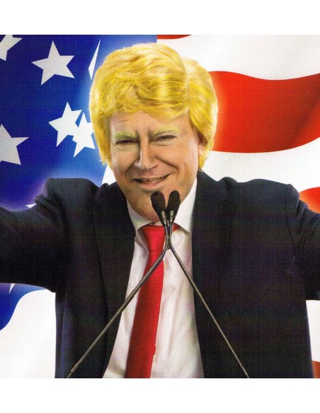 Perruque Donald Trump