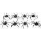 8 araignées noires