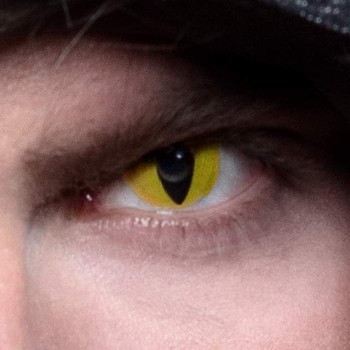 Lentilles creep jaune