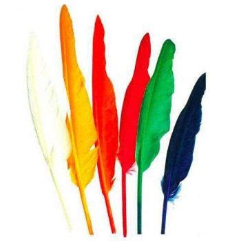 Lot de 12 plumes indiens