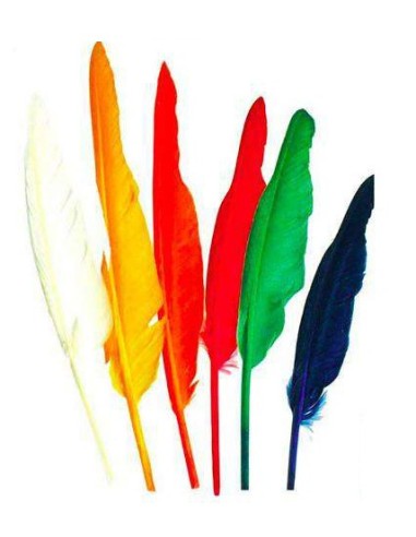 Lot de 12 plumes indiens