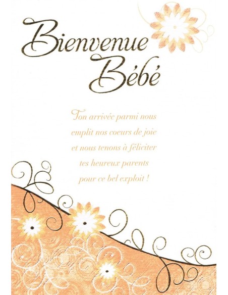 Carte bienvenue bébé