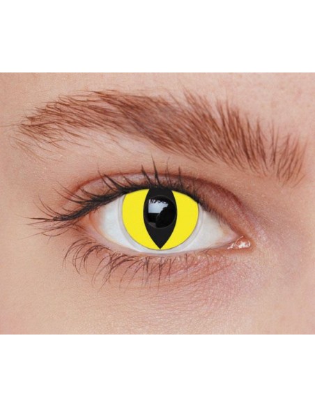 Lentilles iris chat jaune