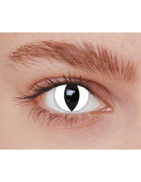 Lentilles iris chat blanc