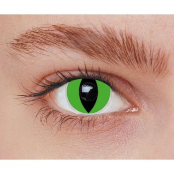 Lentilles iris chat vert