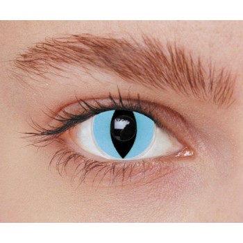 Lentilles iris chat bleu