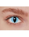 Lentilles iris chat bleu