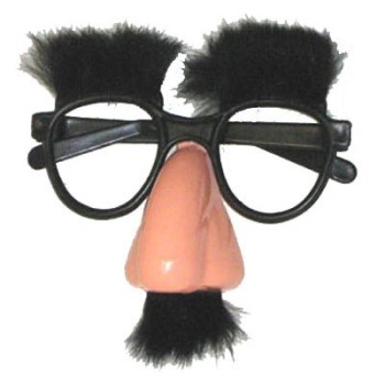 Lunettes Groucho avec nez et poils