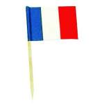 20 mini drapeaux France sur pic